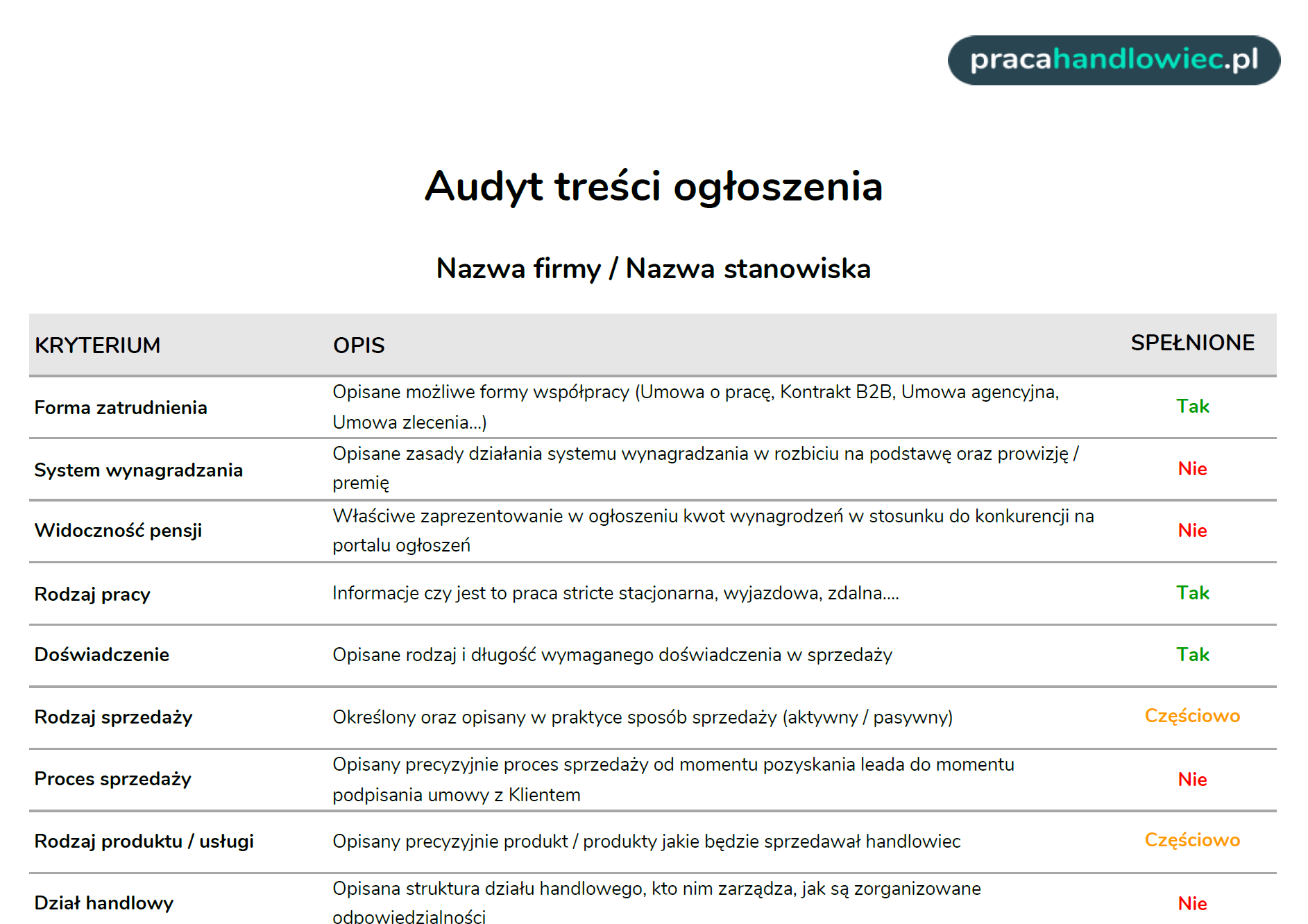 Profesjonalny raport z audytu