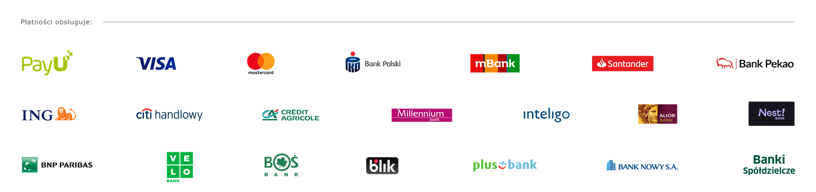 Metody płatności: PayU, Visa, Mastercard, BLIK, przelewy bankowe