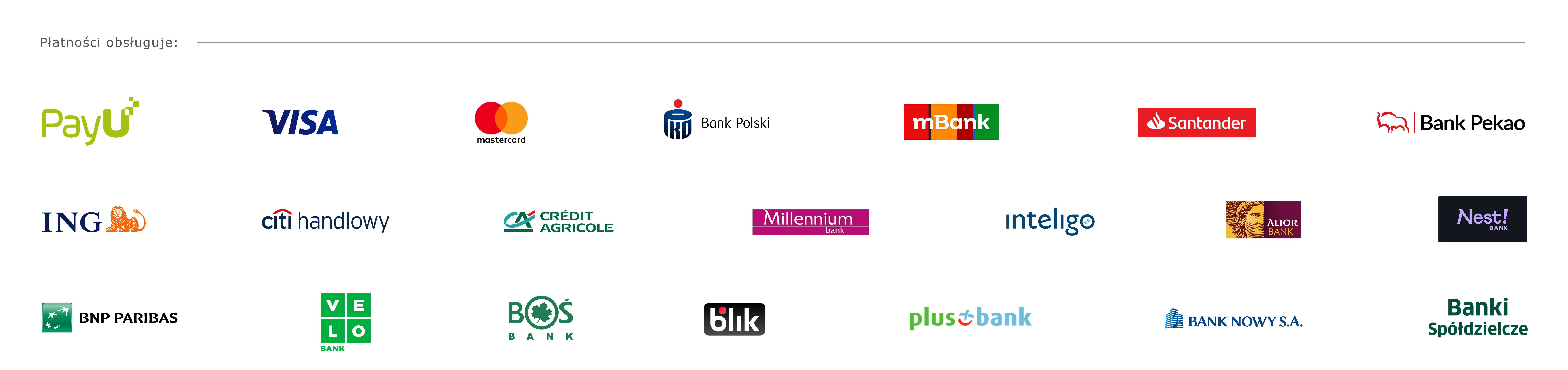 Metody płatności: PayU, Visa, Mastercard, BLIK, przelewy bankowe