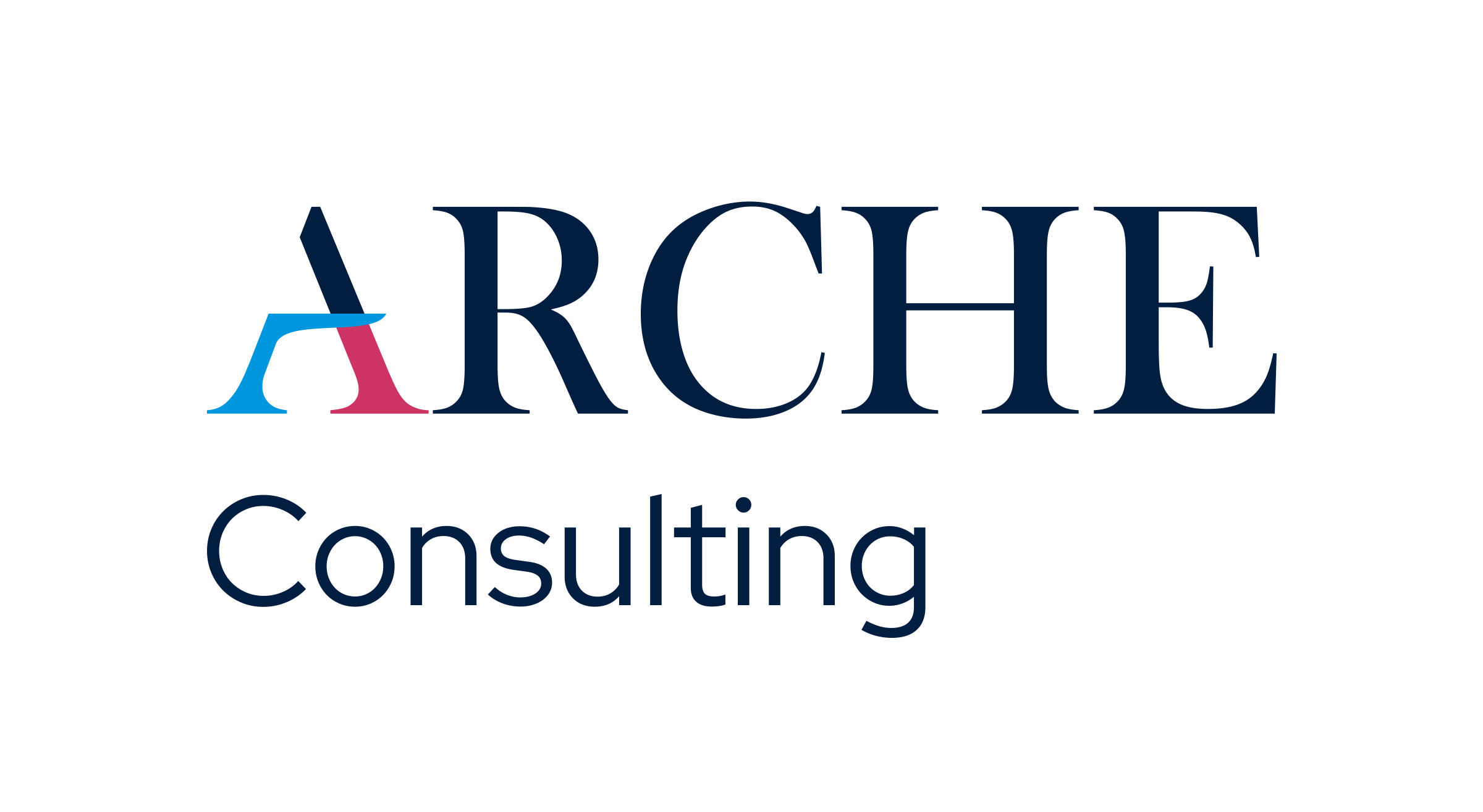 Arche consulting