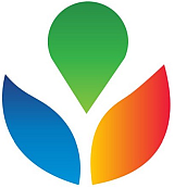 Consor Energia