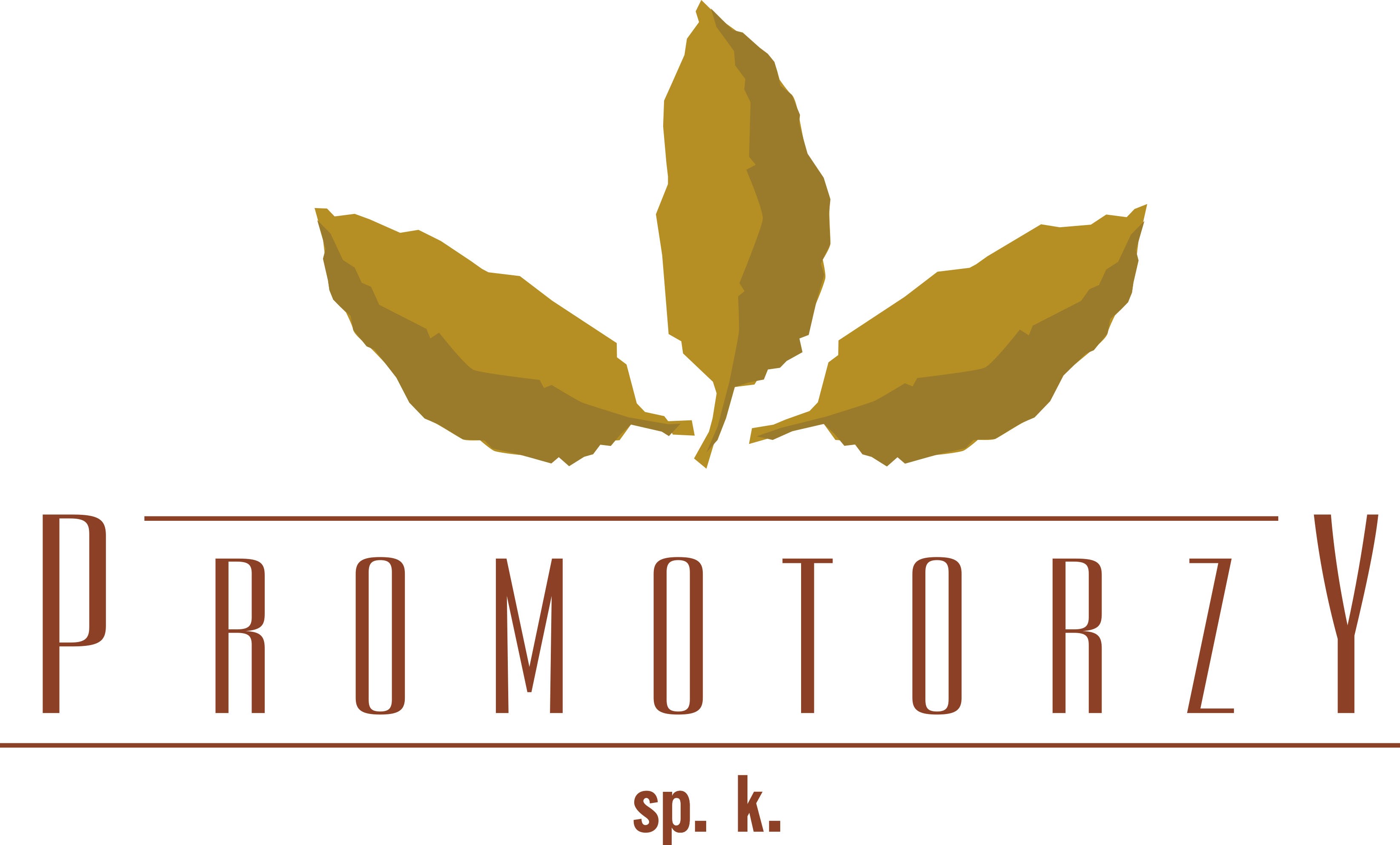 PROMOTORZY TRADING